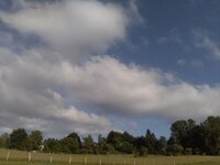 IMG_20250518_190453.jpg