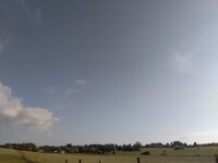 IMG_20250518_190459.jpg