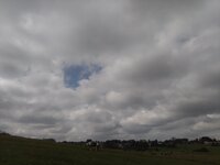 IMG_20260507_105915.jpg