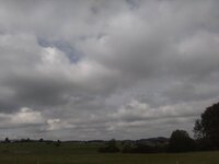 IMG_20260507_105920.jpg