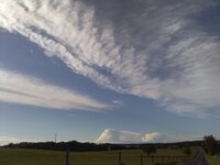IMG_20260604_191009.jpg